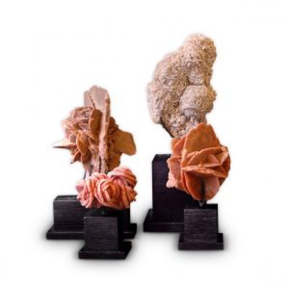 Designer's Atelier Home Accessories Collection | Set of 4 Sand Roses from World's Deserts | Interior Designers